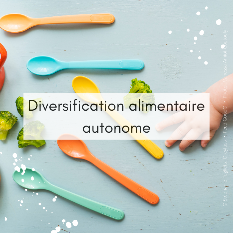 Masterclass diversification alimentaire et DME en ligne